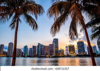 Miami, Florida skyline and bay at sunset seen through palm trees 