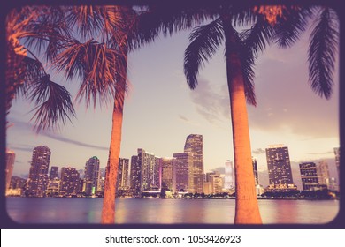 Miami Florida Skyline Night Palm Trees Stock Photo 1053426923 ...