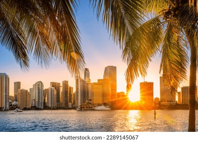 Miami, Florida skyline with sunbeams shining through the skyscrapers. Miami is a majority-minority city and a major center and leader in finance, commerce, culture, arts, and international trade.