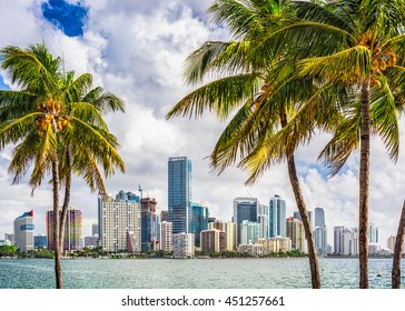 Miami, Florida, USA Tropical Downtown Skyline.