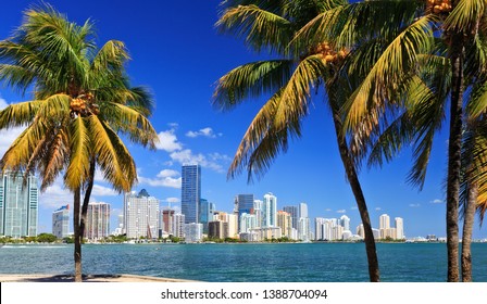 Miami Skyline With Palm Trees