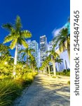 Miami skyline with skyscrapers at Maurice A. Ferré Park at night evening portrait format in Miami, United States