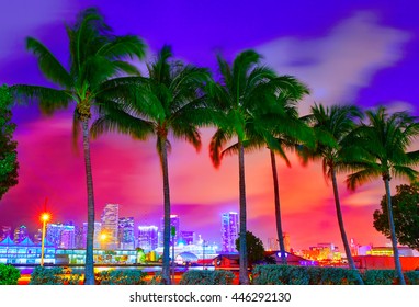 Miami Skyline At Sunset With Palm Trees In Florida USA