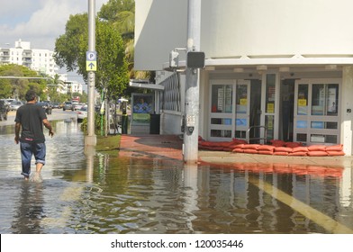 Miami Hurricane Damage Stock Photos Images Photography