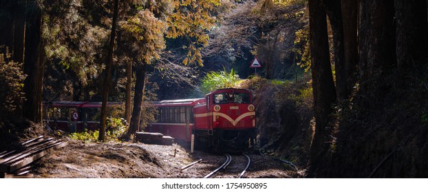  The Mianyue Line In Alishan