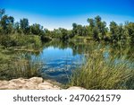 The Miaree Pool in the Maitland River near Karratha, one of the few permanent freshwater pools in the arid Pilbara region, Western Australia
