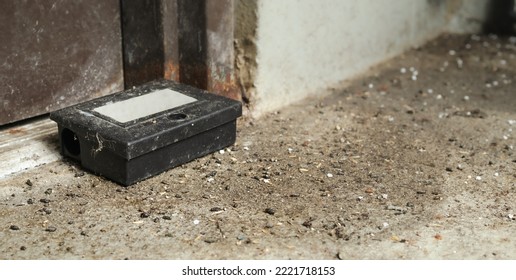 Mice Infestation In Service Room Of Strata Building. Failed Pest Control Management Or Weak Poison. Dirty Ground With Many Rodent Droppings Next To An Old Rodent Bait Trap. Selective Focus.