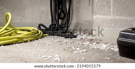 Mice infestation in service room of strata building. Room corner with many rodent droppings, white insulation pieces from the ceiling and rodent bait trap. Pest control management. Selective focus.