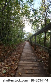 Michigan In The Fall Traverse City