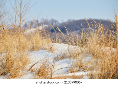 Michigan Sand Dunes Detail Covered In Winter Snow