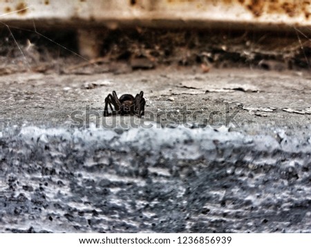 Similar – Image, Stock Photo Which way? Gummy bears