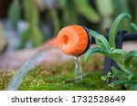 Micro drip irrigation system. Close up of an adjustable drip head in a plant pot. Home gardening