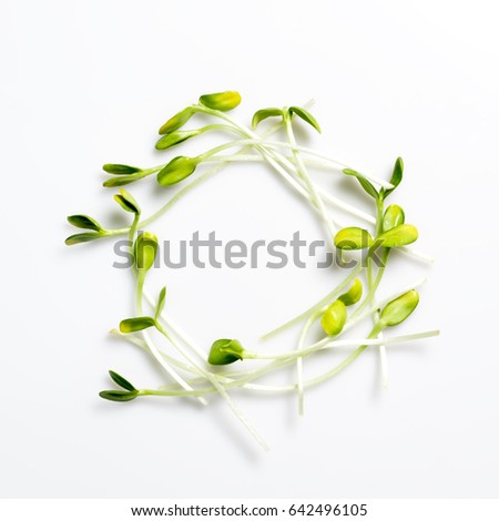 Similar – Green wreath with flowers and plants on white