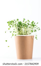 Micro greens in a coffee paper cup. Zero waste concept, reuse, reduce, recycle. - Shutterstock ID 2157842909