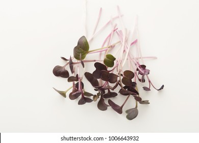 Micro Greens Isolated On White Background, Copy Space, Top View. Assortment Of Red Kale Baby Sprouts, Mockup For Healthy Eating And Organic Restaurant Cooking Advertisement