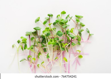 Micro Greens Isolated On White Background, Copy Space, Top View. Assortment Of Kale Baby Sprouts, Mockup For Healthy Eating And Organic Restaurant Cooking Advertisement