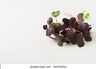 Micro Greens Isolated On White Background, Copy Space, Top View. Assortment Of Red Kale Baby Sprouts, Mockup For Healthy Eating And Organic Restaurant Cooking Advertisement