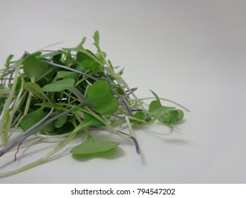 Micro greens on a plain background - Shutterstock ID 794547202