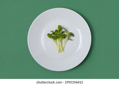 Micro greens sunflower sprouts in a white plate on green background, top view. Vegetarian food. Raw sprouts. Healthy eating concept. - Powered by Shutterstock