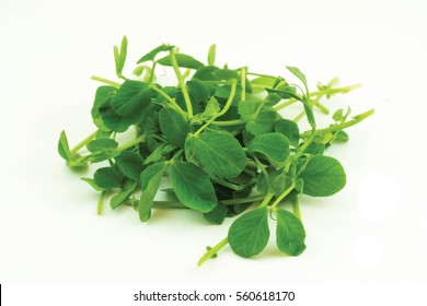 Micro Pea Shoots