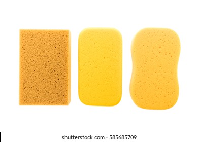 Download Yellow Sponge Images Stock Photos Vectors Shutterstock Yellowimages Mockups