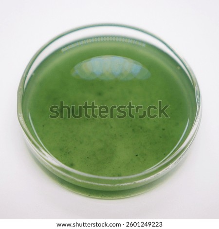 Microbial products for agriculture using Trichoderma, Beauveria bassiana, Paecilomyces, liquid and solid 