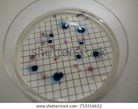 Microbial water analysis in a laboratory