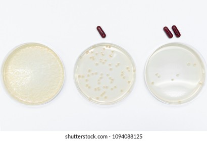 Microbiological Experiments For Antibiotics Development Using Superbacteria, Multi Drug Resistant Bacteria