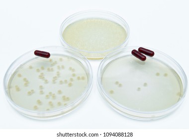 Microbiological Experiments For Antibiotics Development Using Superbacteria, Multi Drug Resistant Bacteria