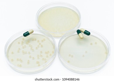 Microbiological Experiments For Antibiotics Development Using Superbacteria, Multi Drug Resistant Bacteria