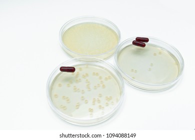 Microbiological Experiments For Antibiotics Development Using Superbacteria, Multi Drug Resistant Bacteria