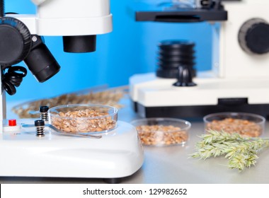 Microbiological Testing For Food Quality