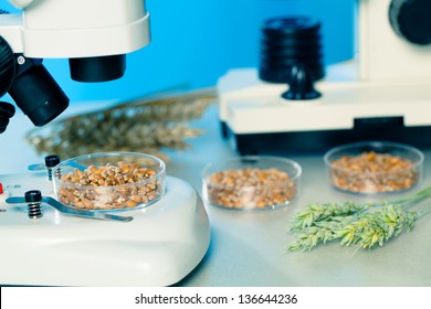 Microbiological Testing For Food Quality