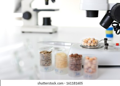 Microbiological Testing For Food Quality