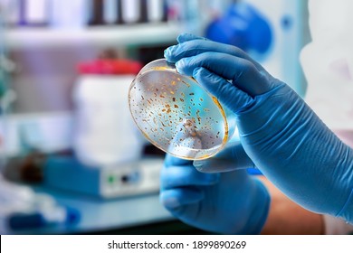 Microbiologie Images Photos Et Images Vectorielles De Stock Shutterstock