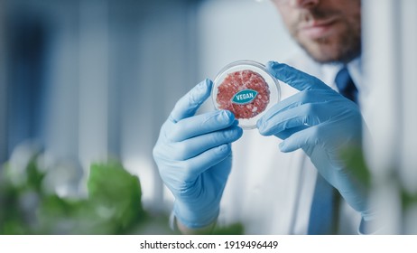 Microbiologist Holding Lab-Grown Cultured Vegan Meat Sample. Medical Scientist Working on Plant-Based Beef Substitute for Vegetarians in a Modern Food Science Laboratory.