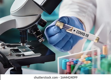 microbiologist and tube biological sample contaminated by Coronavirus and label Covid  19 / doctor in the laboratory and biological tube for analysis   sampling Covid  19 infectious disea