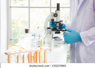 Microbiologists are using microscopes to perform experiments in a laboratory full of experimental equipment in the morning.