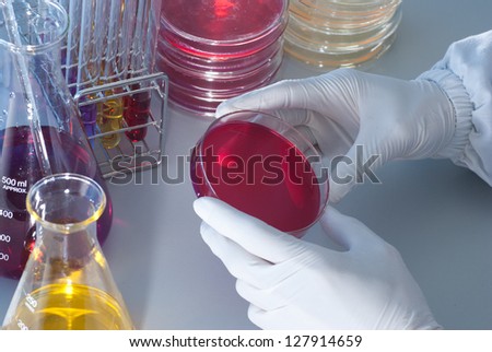 Microbiology Experiment