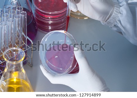Microbiology Experiment