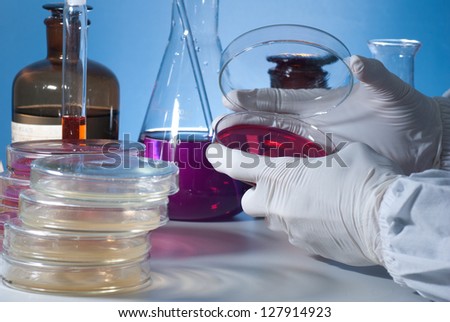 Microbiology Experiment