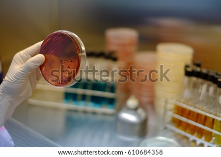 microbiology  laboratory