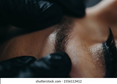 A Microblading Master In Black Rubber Gloves Holds A Close-up Of A Girl’s Client’s Finished Eyebrow.