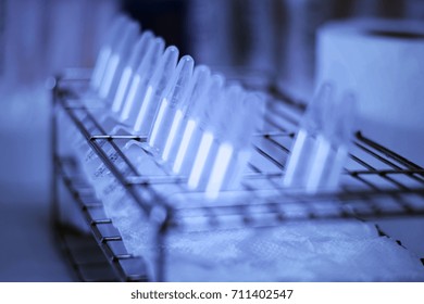microcentrifuge tubes of molecular laboratory, drying DNA of DNA extraction.
