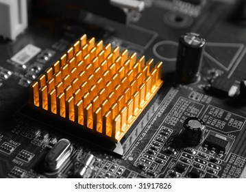 Microchip