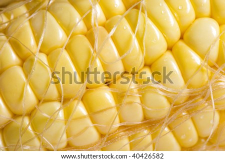 micro:details of corn