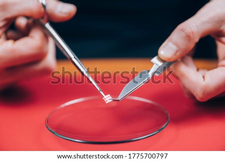 Microdosing LSD. Preparing a micro dose, cutting a tab of LSD into smaller pieces
