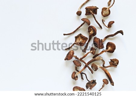 Microdosing Mushrooms. Psychedelic Magic Mushrooms. The New Trend for Mental Health