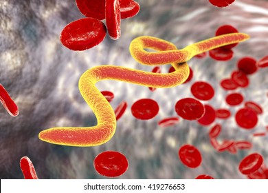 Microfilaria worms in blood, 3D illustration. Nematode parasites transmitted by mosquitoes which cause filariasis, elephantiasis