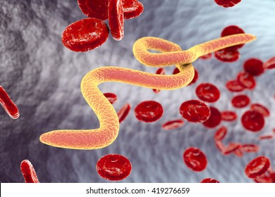 Microfilaria worms in blood, 3D illustration. Nematode parasites transmitted by mosquitoes which cause filariasis, elephantiasis